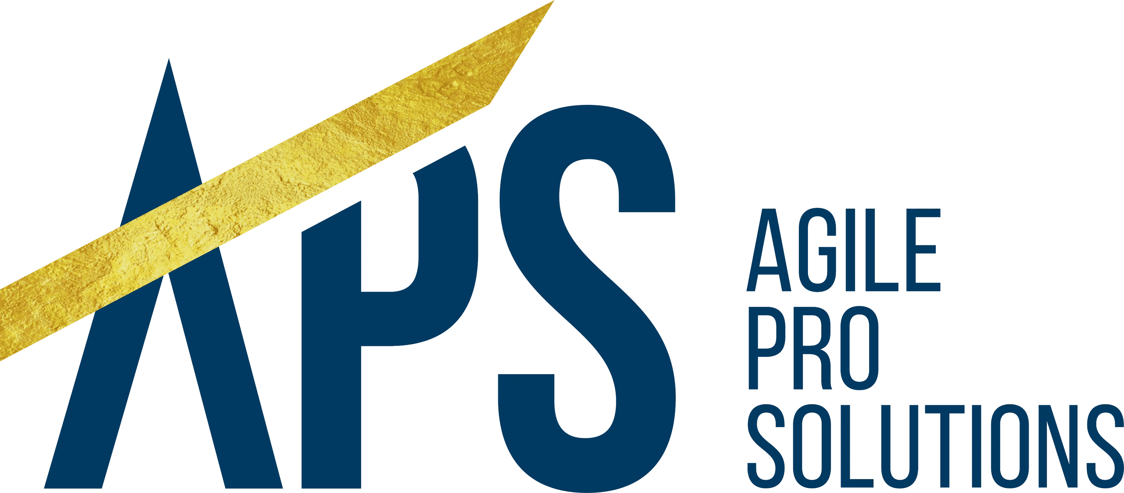 לוגו Agile Pro Solutions